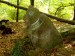Kamenný medvídek ve Vidhošti