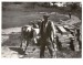 Svod krav rolníků do prvního JZD v r. 1957